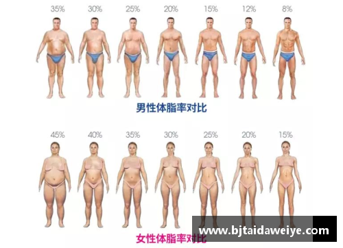 探索体脂率：从球员到健康的完美平衡